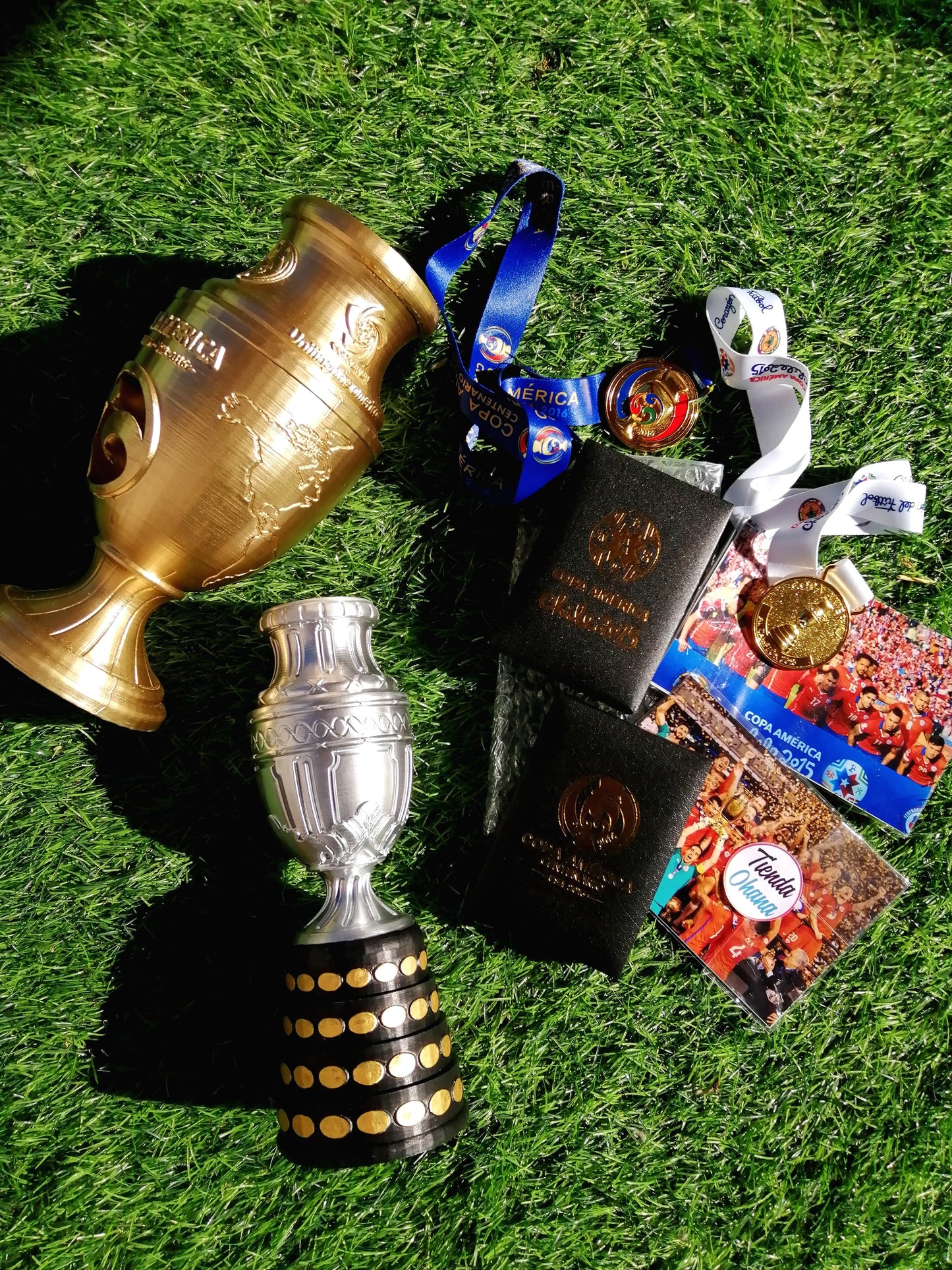 Colección Completa Chile 🇨🇱 Bicampeón de América 2015/2016.